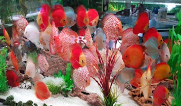 Neue Bilder von der Anlage