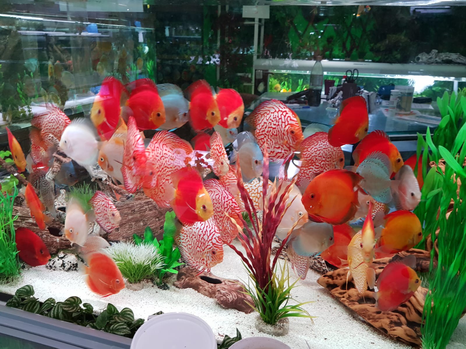 Neue Bilder von der Anlage